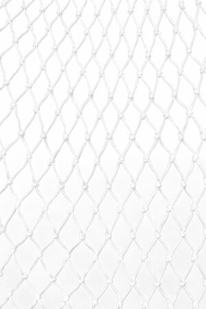 Erätapio-Nailon Verkko 20 mm | 300MD *100kg